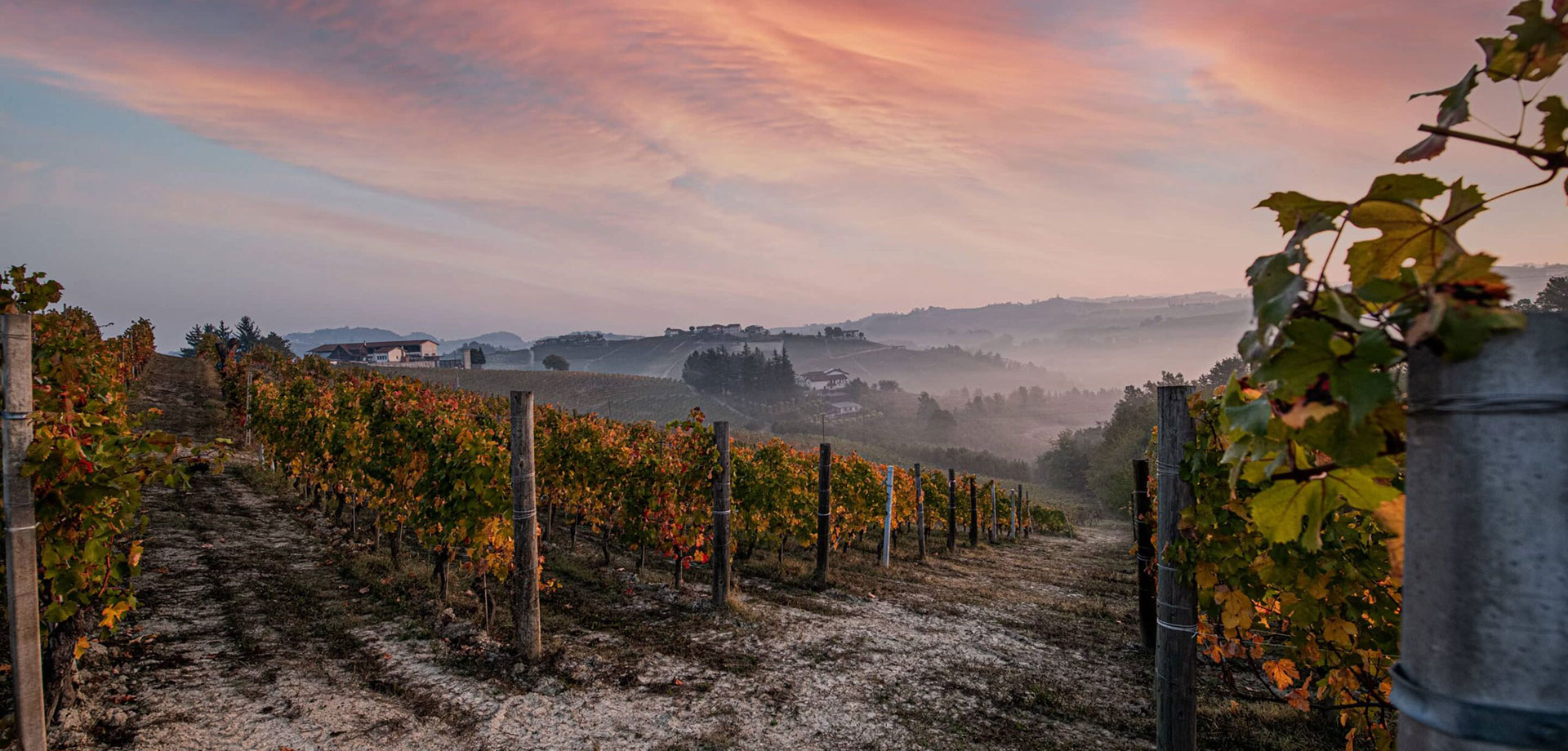 PECCHENINO葡萄酒庄园的历史可以追溯到1700年代末