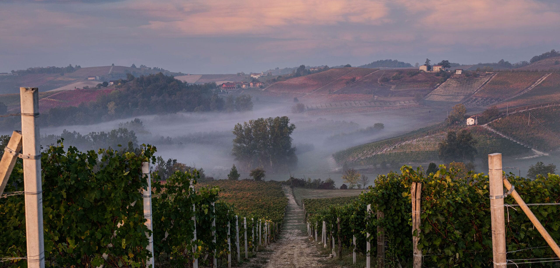 酒庄的葡萄酒均来自海拔400米以上的葡萄园